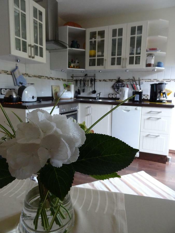 Ferienwohnung Orchidee Bad Muenstereifel Esterno foto
